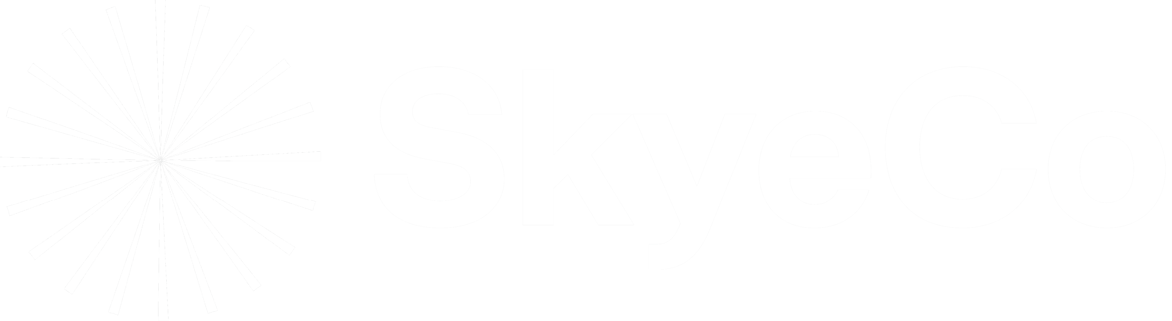 Skyeco Networking